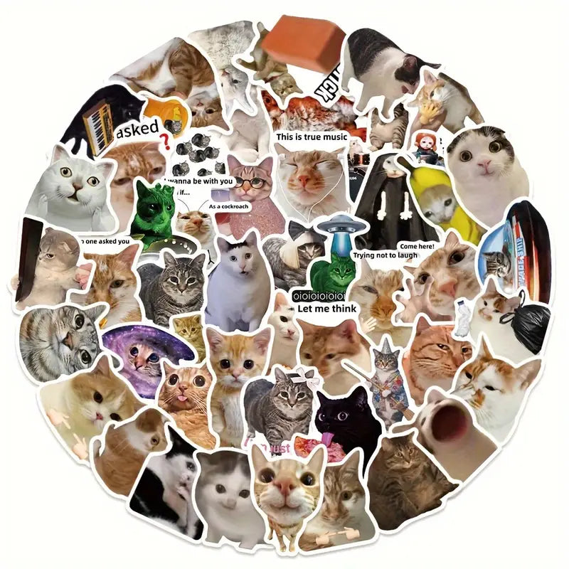 Pack de 10 Pegatinas de Memes Divertidos de Gatos — Impermeables y Duraderas