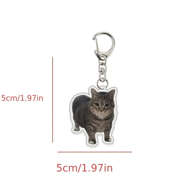Colgante Acrílico de Cabeza de Gato — Divertido y Original