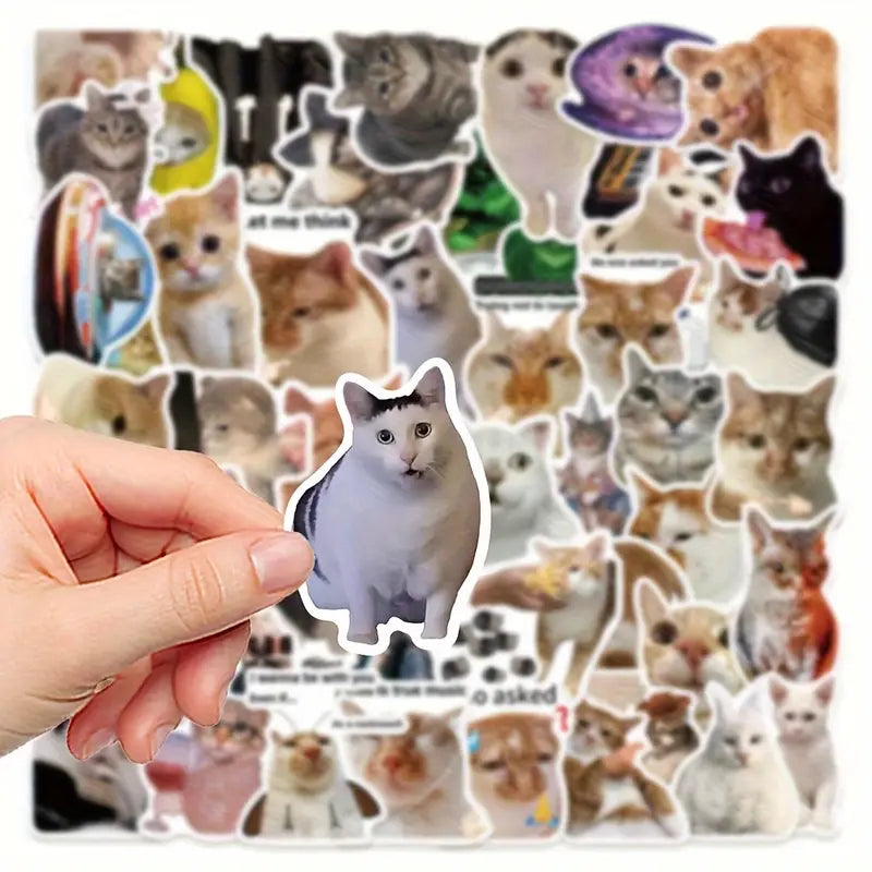 Pack de 10 Pegatinas de Memes Divertidos de Gatos — Impermeables y Duraderas