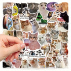 Pack de 10 Pegatinas de Memes Divertidos de Gatos — Impermeables y Duraderas