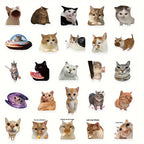 Pack de 10 Pegatinas de Memes Divertidos de Gatos — Impermeables y Duraderas