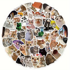 Pack de 10 Pegatinas de Memes Divertidos de Gatos — Impermeables y Duraderas