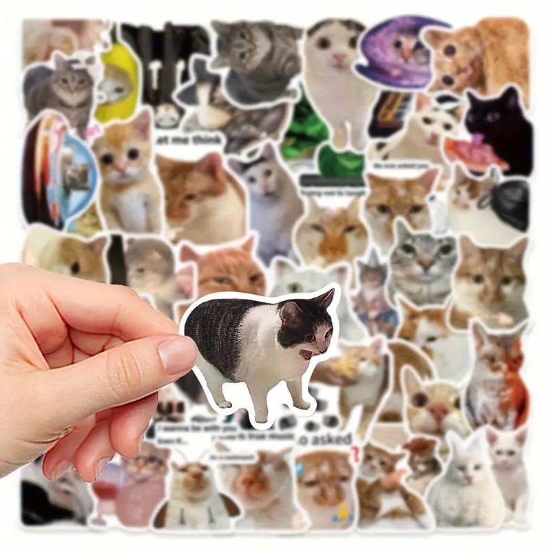 Pack de 10 Pegatinas de Memes Divertidos de Gatos — Impermeables y Duraderas