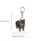 Colgante Acrílico de Cabeza de Gato — Divertido y Original