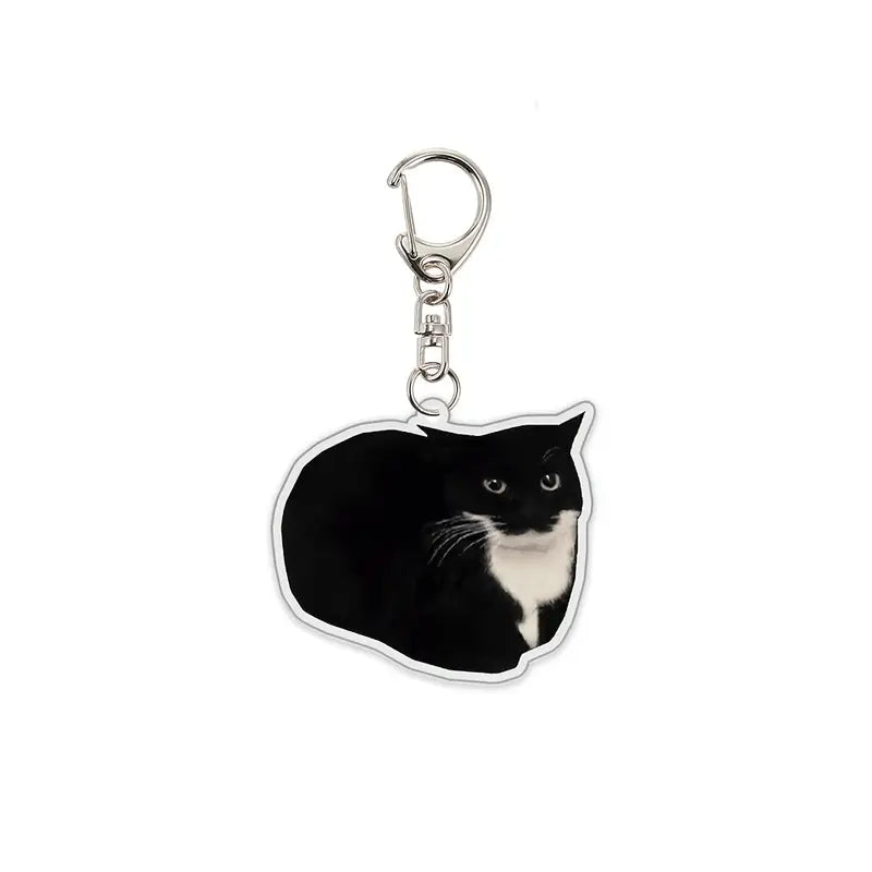 Colgante Acrílico de Cabeza de Gato — Divertido y Original