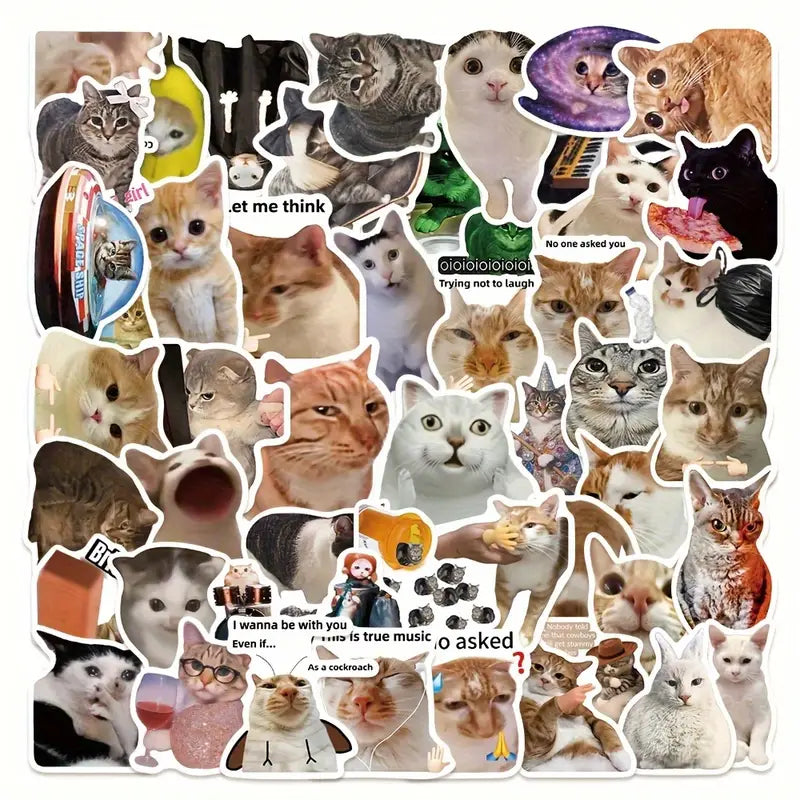 Pack de 10 Pegatinas de Memes Divertidos de Gatos — Impermeables y Duraderas